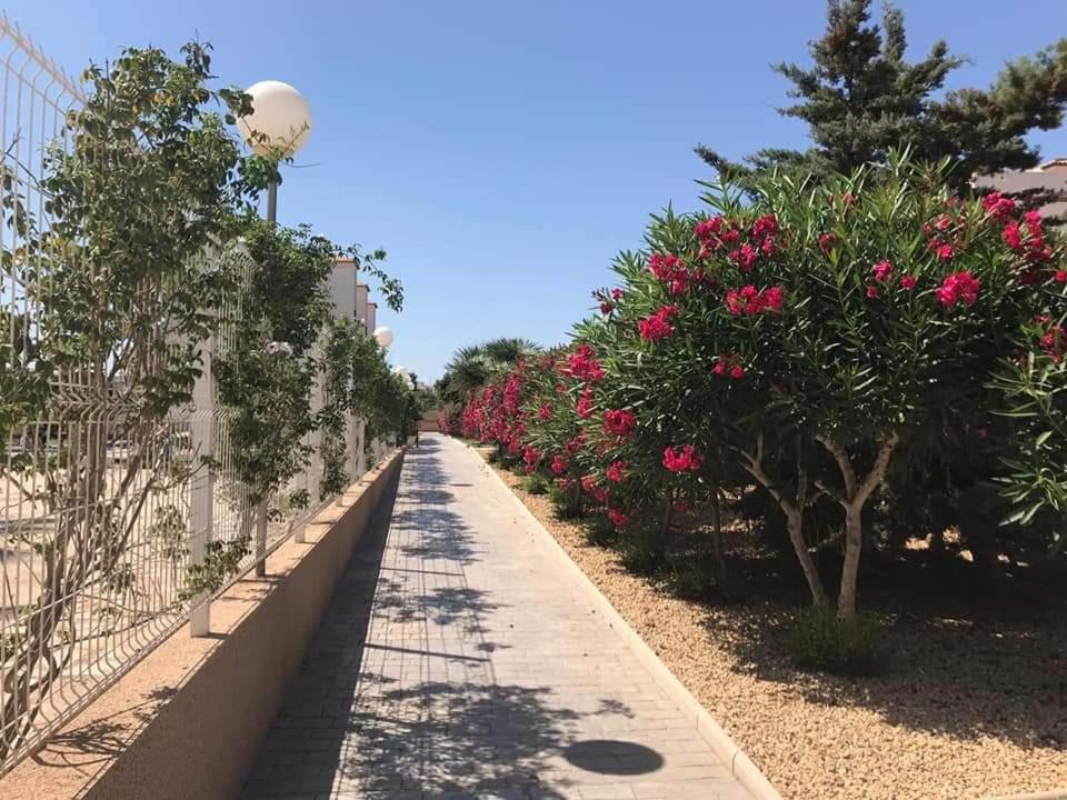 Casa Punta Prima Apartment Orihuela Bagian luar foto